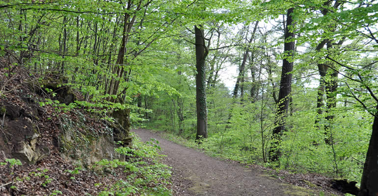 Wanderabenteuer Edersee